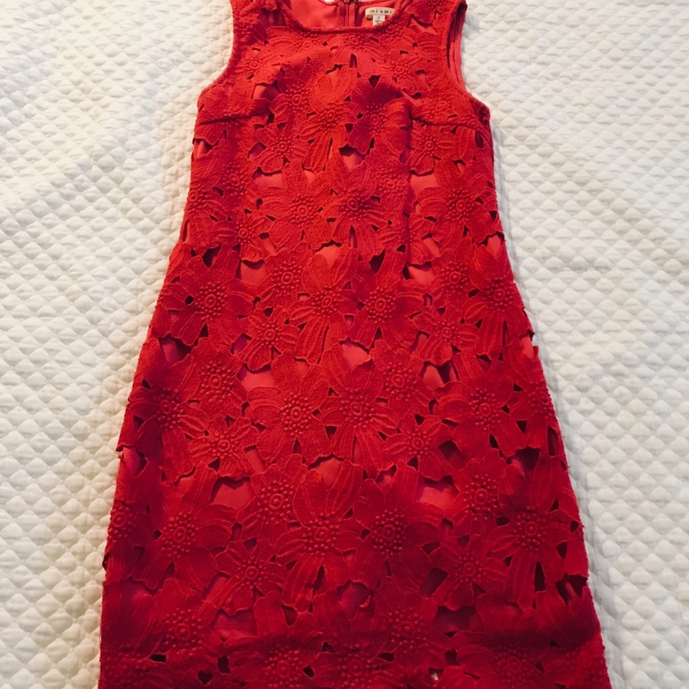 Hot Pink Lace Shift Dress